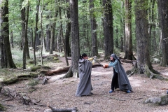 lotr-Glenorchy-Paradise-Beech-Forest