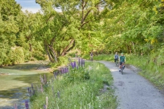 aorrowriver--queenstown-bike wine tour