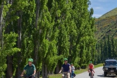 queenstown-bike-wine-tour2