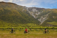 wineries-queenstown-bike-wine tour