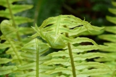 Guided-Walks-General-3-scaled