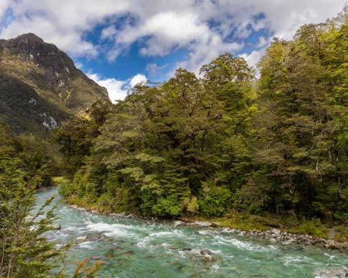 Routeburn Guided Walk Half Day