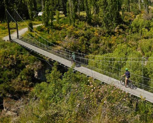 Queenstown E-Bike Wine Tour